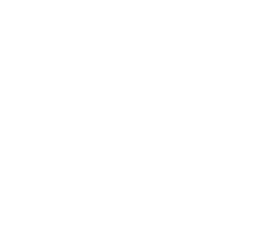 AI Foundation 10 Asset